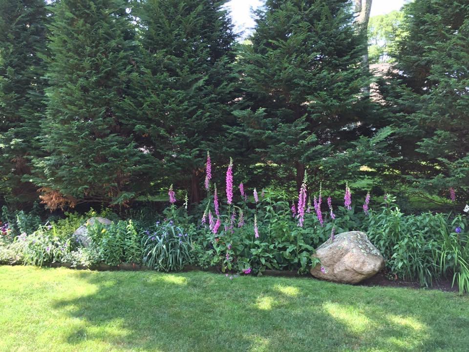 50 Pheasant Way, Unit A&B Centerville, MA 02632 - Photo 29 of 62 a view of a chairs and table in a yard