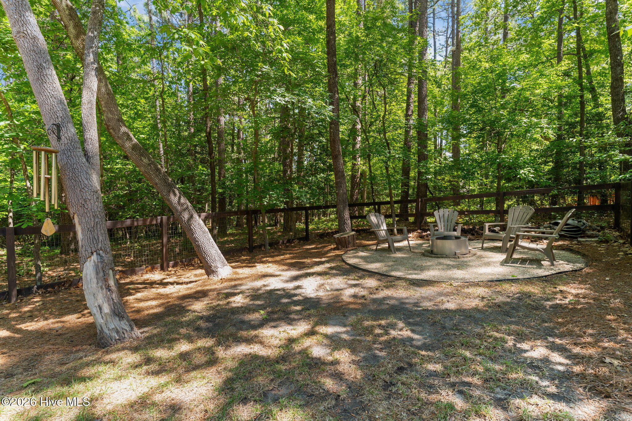 1659 East Indiana Avenue Southern Pines, NC 28387 - Photo 45 of 59 49-web-or-mls-DSC04184