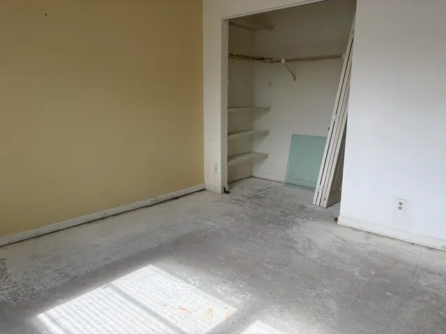 a view of a yard with plants and trees