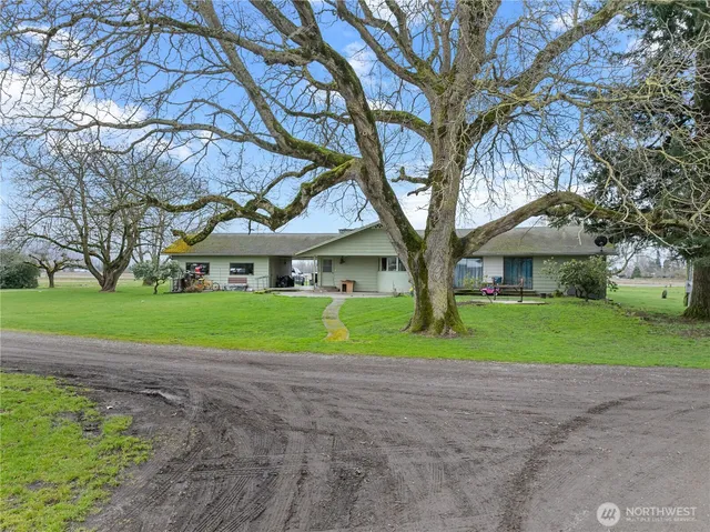 a view of a yard in front of a house