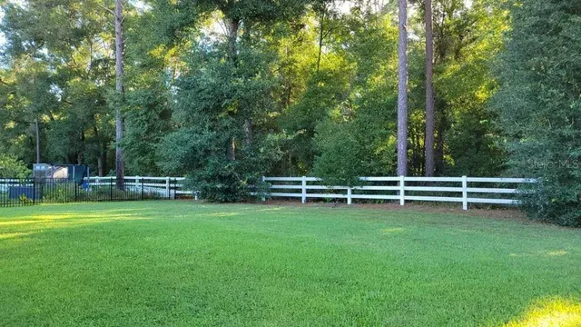 a view of a park with a tree