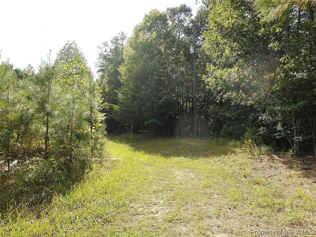 0 Shooter Run Road Lanexa, VA 23089 - Photo 5 of 7 Gallery Image 5