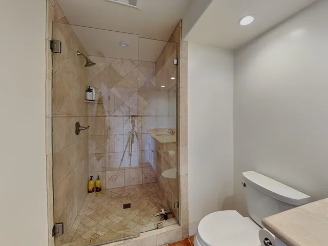 a bathroom with a shower and toilet