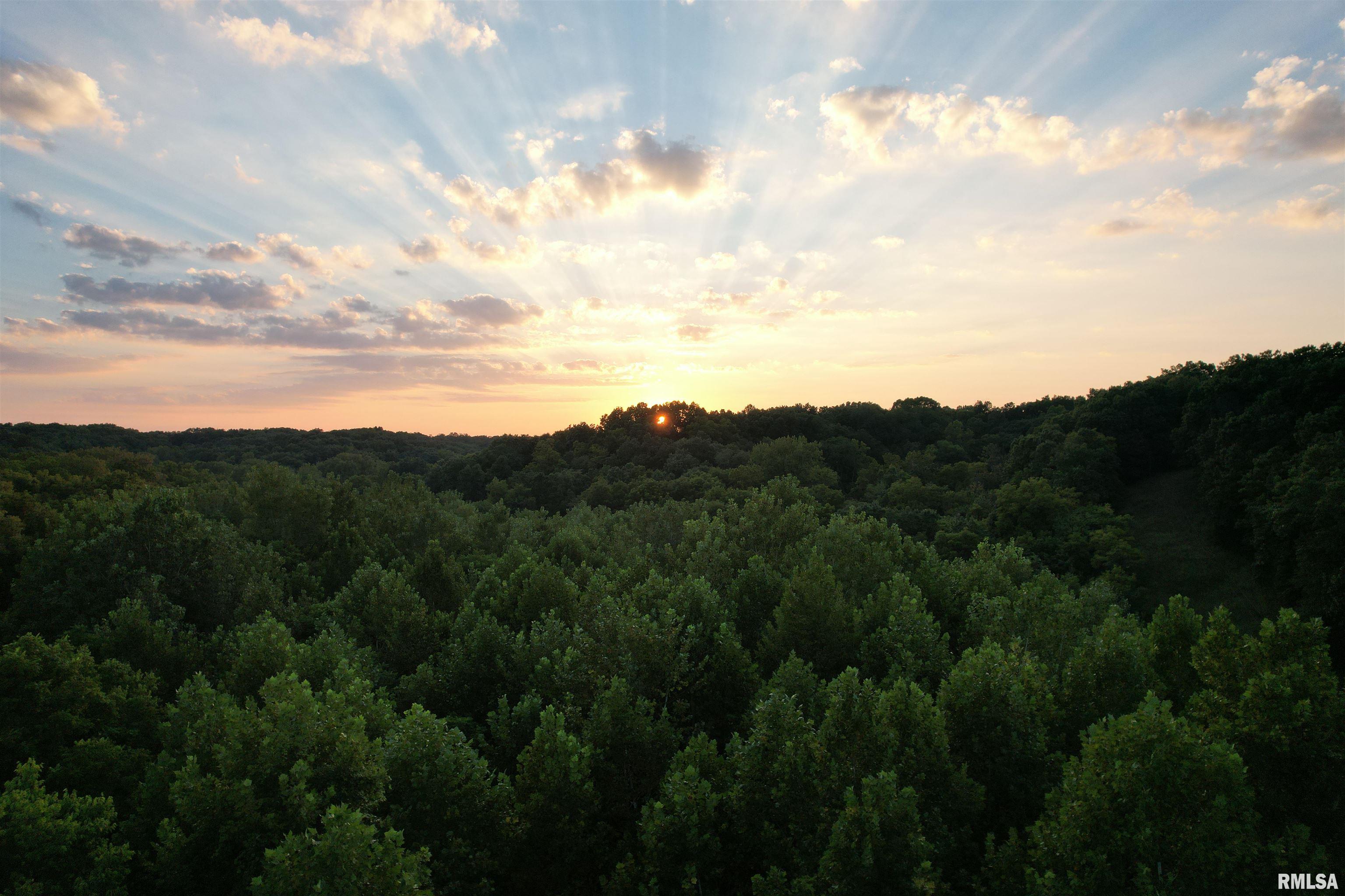 12110 Dutchman Road Browning, IL 62624 - Photo 1 of 13 Gallery Image 1