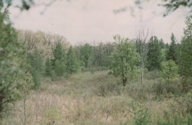 0 North Parma Road, Unit 3 ACRES Parma, MI 49269 - Photo 1 of 2 Photo 1