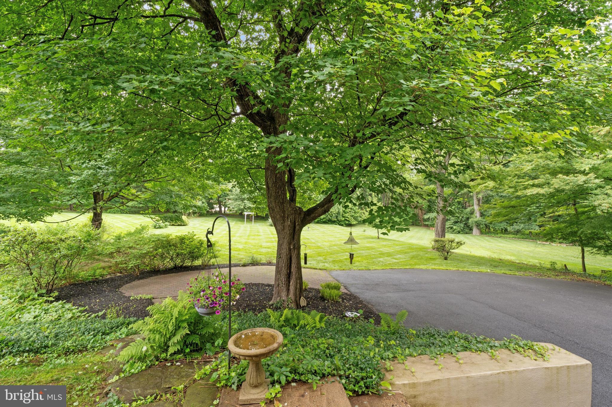 240 Rices Mill Road Wyncote, PA 19095 - Photo 34 of 36 a view of backyard with large trees