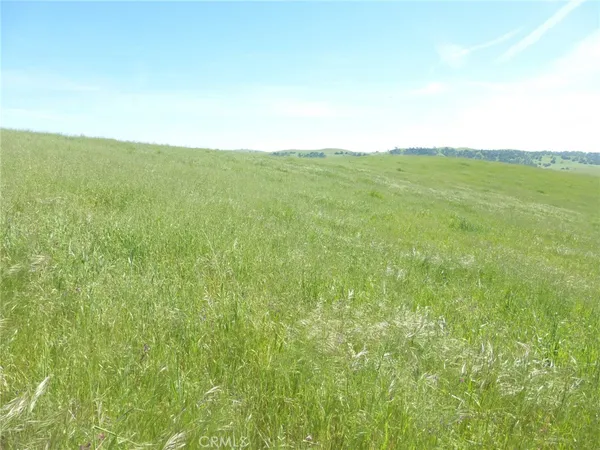 a close view of sink tap