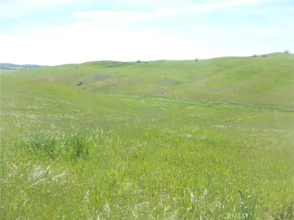 a view of a dry yard with a mountain
