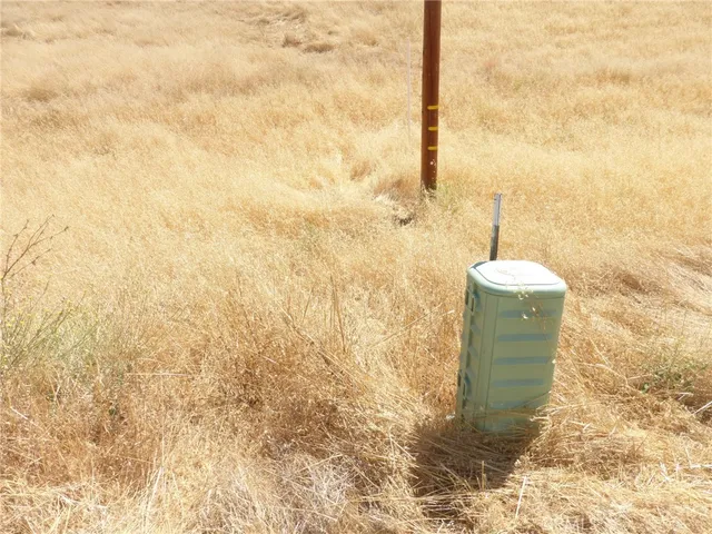 a view of a dry yard with a mountain