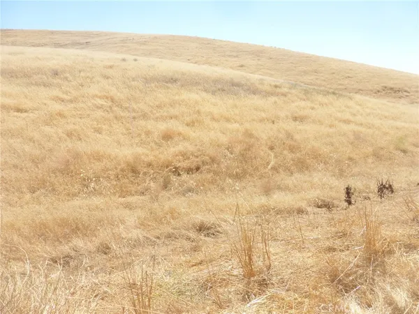 $95,000 | 0 Douglas Road, San Miguel, CA 93451