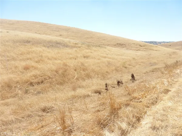 $95,000 | 0 Douglas Road, San Miguel, CA 93451