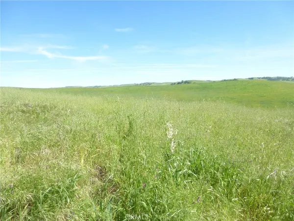 a view of a dry yard and mountain view