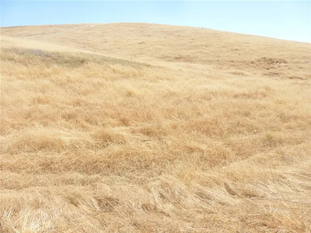 a view of beach and ocean
