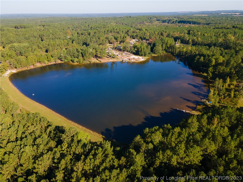 274 Old County Line Road Cameron, NC 28326 - Photo 23 of 29 Gallery Image 23