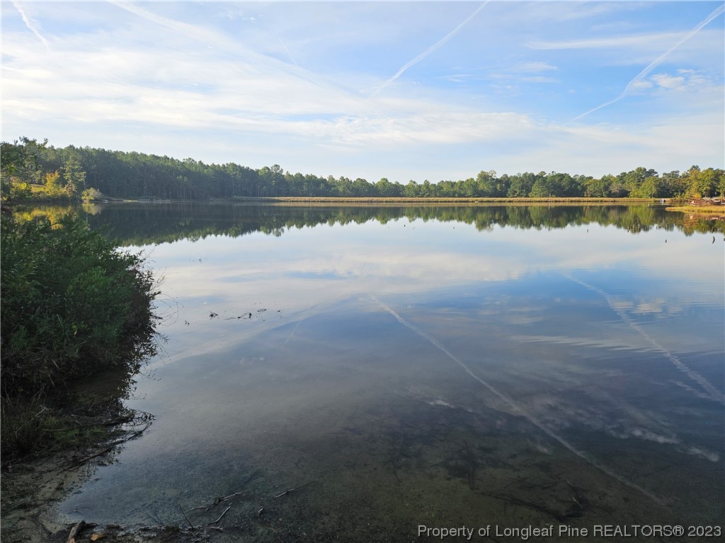 274 Old County Line Road Cameron, NC 28326 - Photo 26 of 29 Gallery Image 26