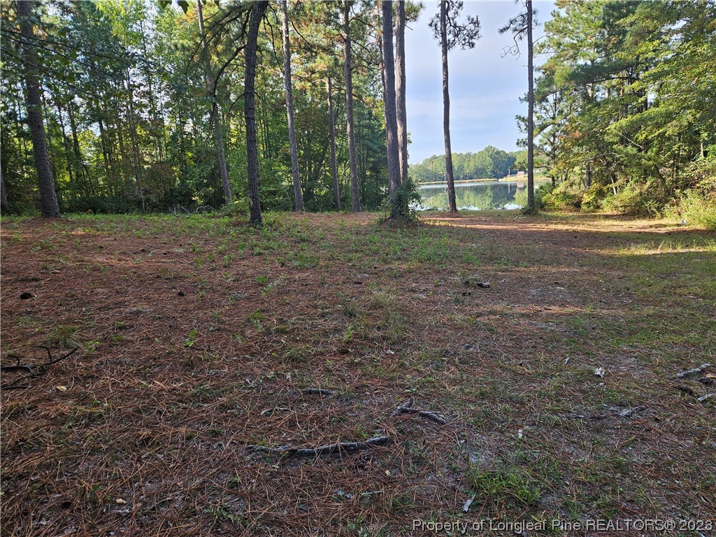 274 Old County Line Road Cameron, NC 28326 - Photo 27 of 29 Gallery Image 27