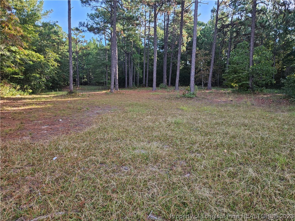 274 Old County Line Road Cameron, NC 28326 - Photo 29 of 29 Gallery Image 29