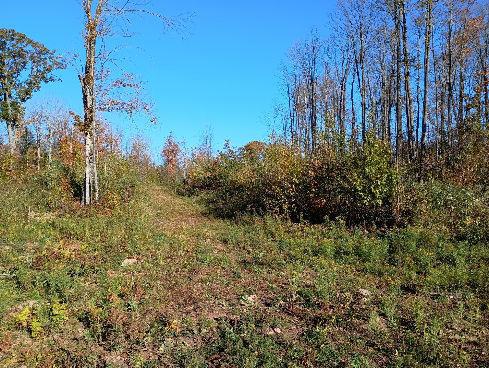 On Kornstead Road, Unit 80 AC Mellen, WI 54546 - Photo 11 of 32 Gallery Image 11