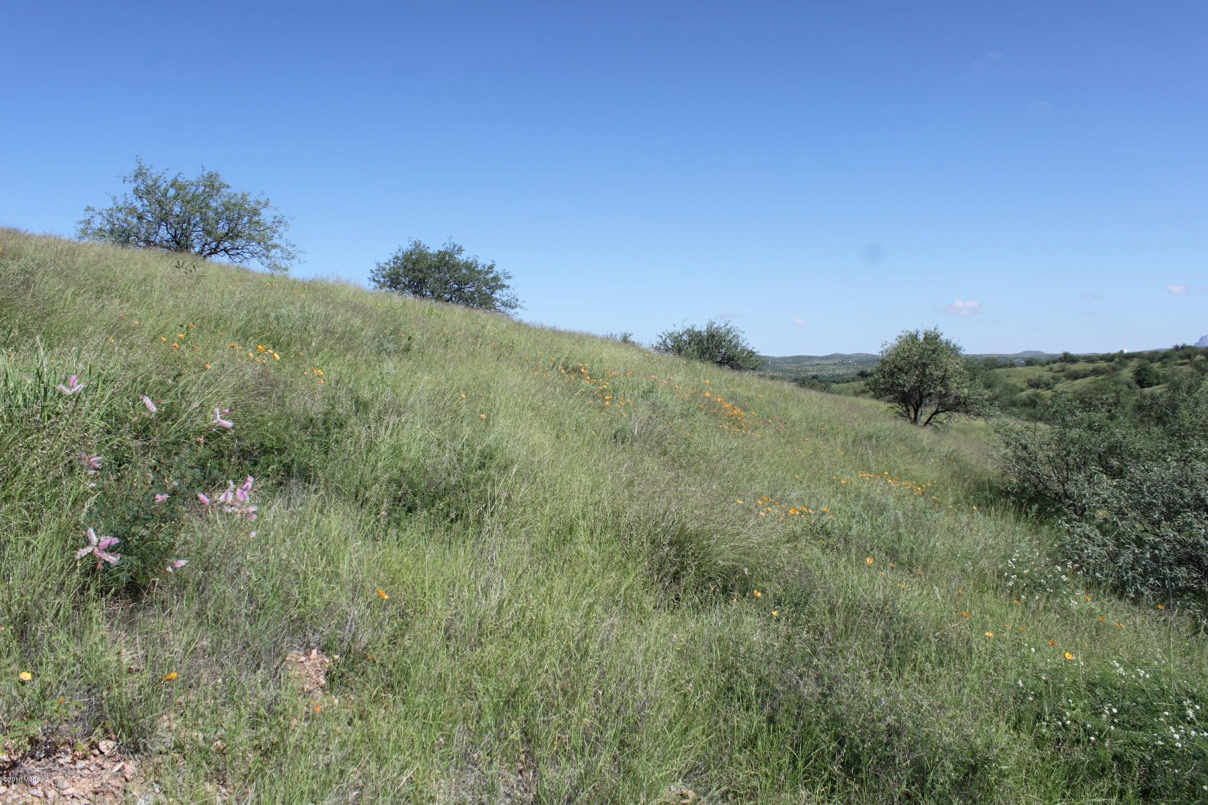 38101 South Wedgeford Road Arivaca, AZ 85601 - Photo 9 of 20