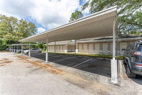 a view of backyard with wheel chair and potted plants
