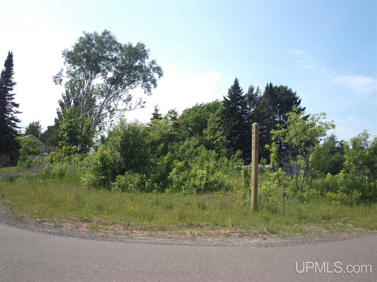 Tbd Third & Cedar Mohawk, MI 49950 - Photo 6 of 6