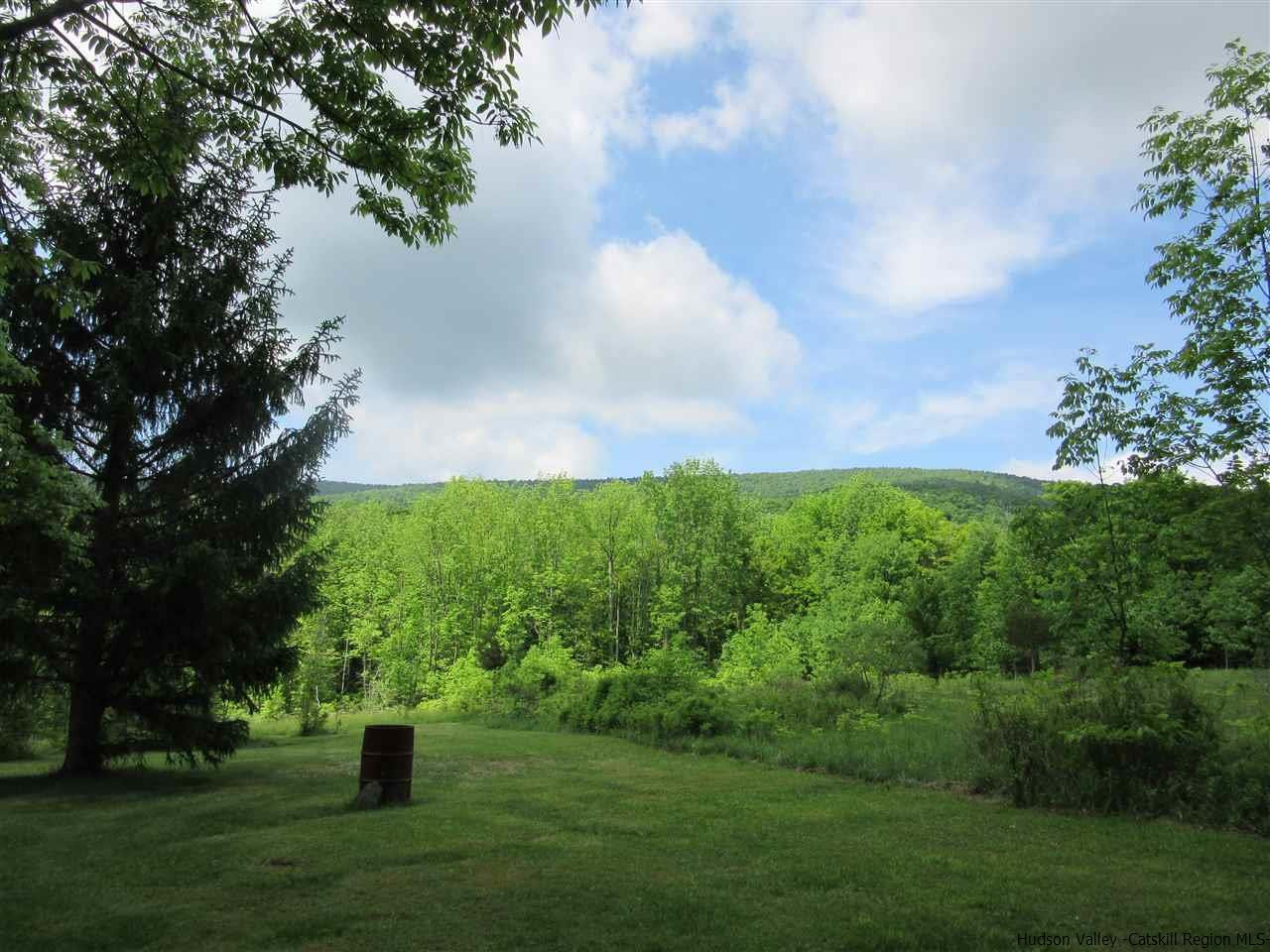 9 Minew Road Lexington, NY 12468 - Photo 23 of 34 Photo 24