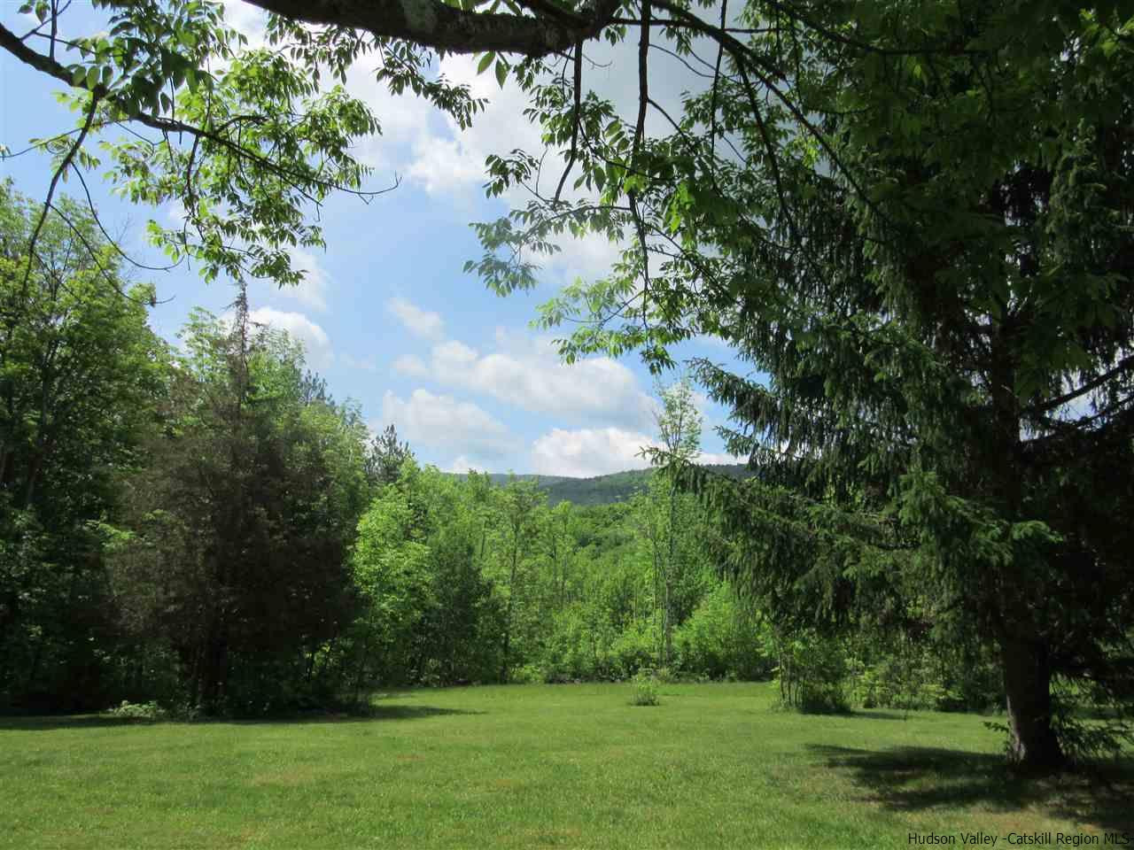 9 Minew Road Lexington, NY 12468 - Photo 27 of 34 Photo 28