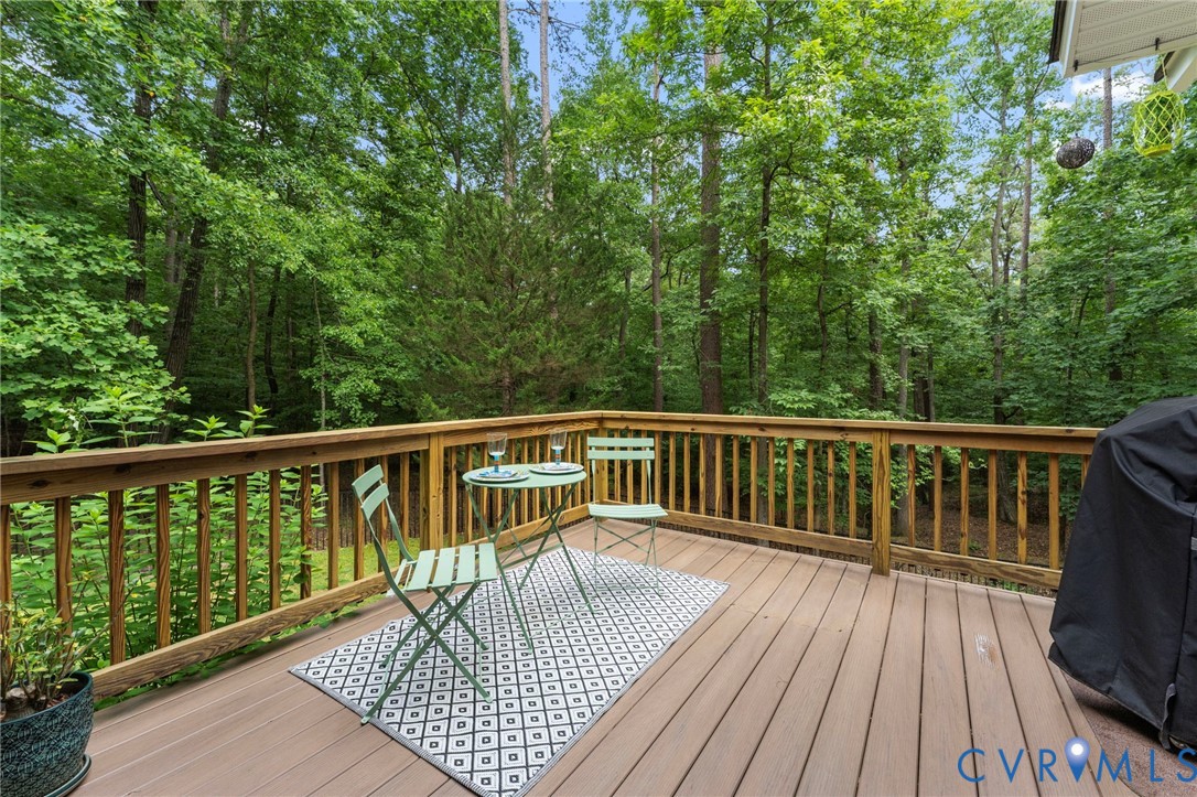 19107 Duval Road Moseley, VA 23120 - Photo 52 of 56