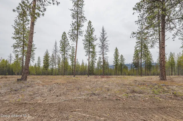 $310,000 | L5-b1 L5-b1 Wallace Lane, Blanchard, ID 83804