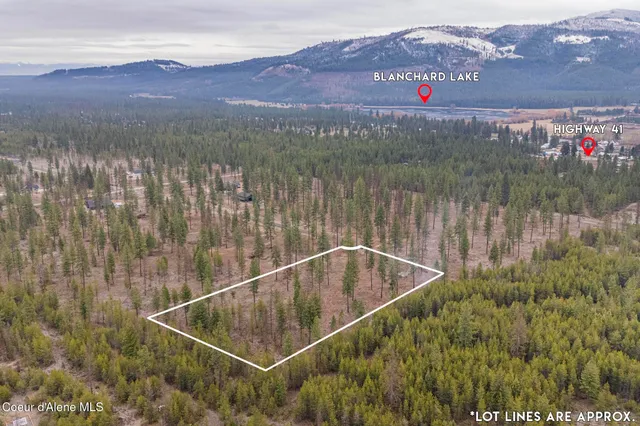 $310,000 | L5-b1 L5-b1 Wallace Lane, Blanchard, ID 83804