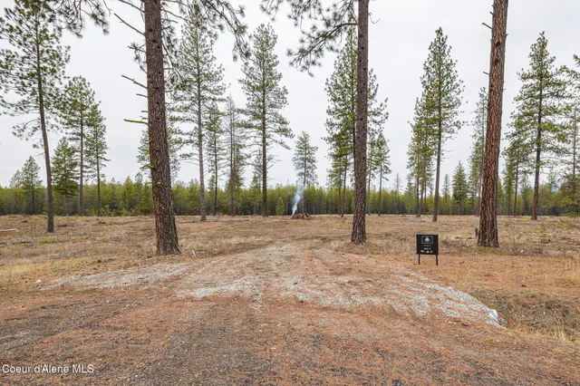 $310,000 | L5-b1 L5-b1 Wallace Lane, Blanchard, ID 83804