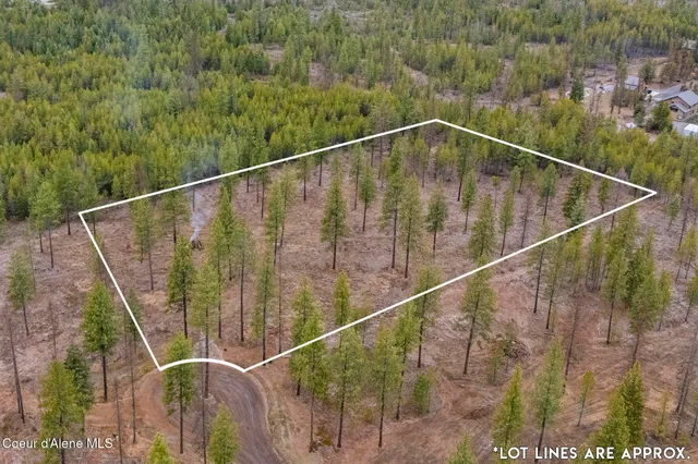 $310,000 | L5-b1 L5-b1 Wallace Lane, Blanchard, ID 83804