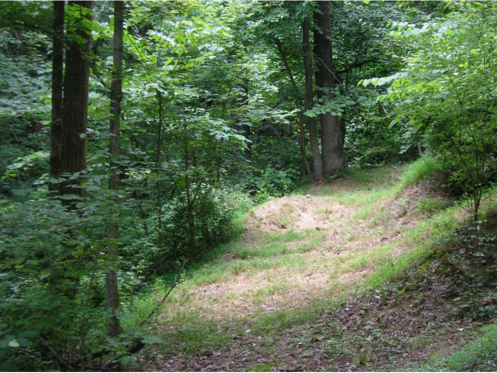 Lot 6-7 Big Ridge Road, Unit 7 Johnson City, TN 37601 - Photo 1 of 20 Photo 19