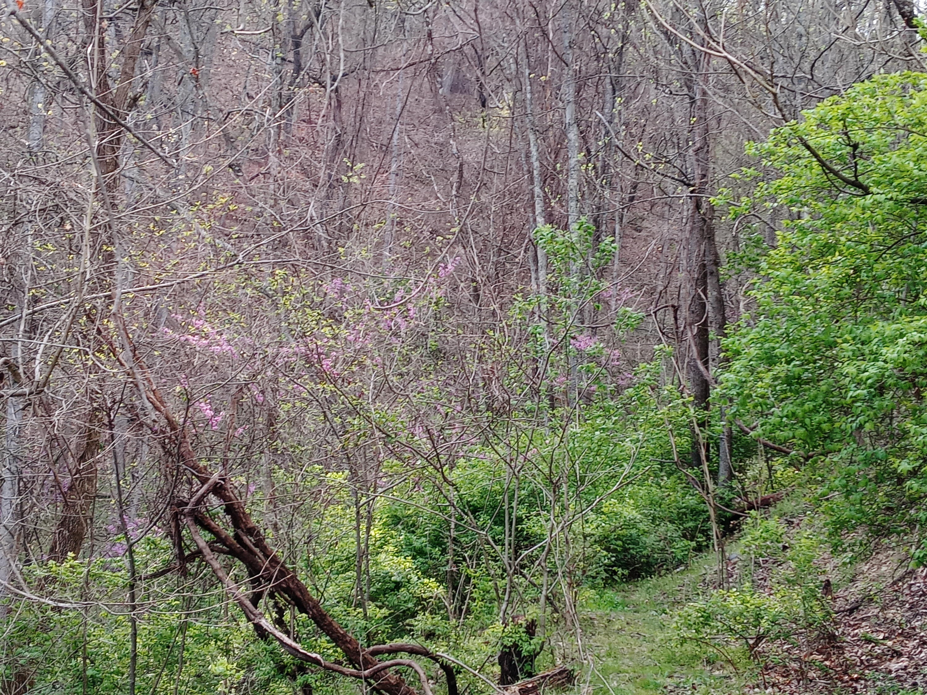 Lot 6-7 Big Ridge Road, Unit 7 Johnson City, TN 37601 - Photo 4 of 20 20210408_180431
