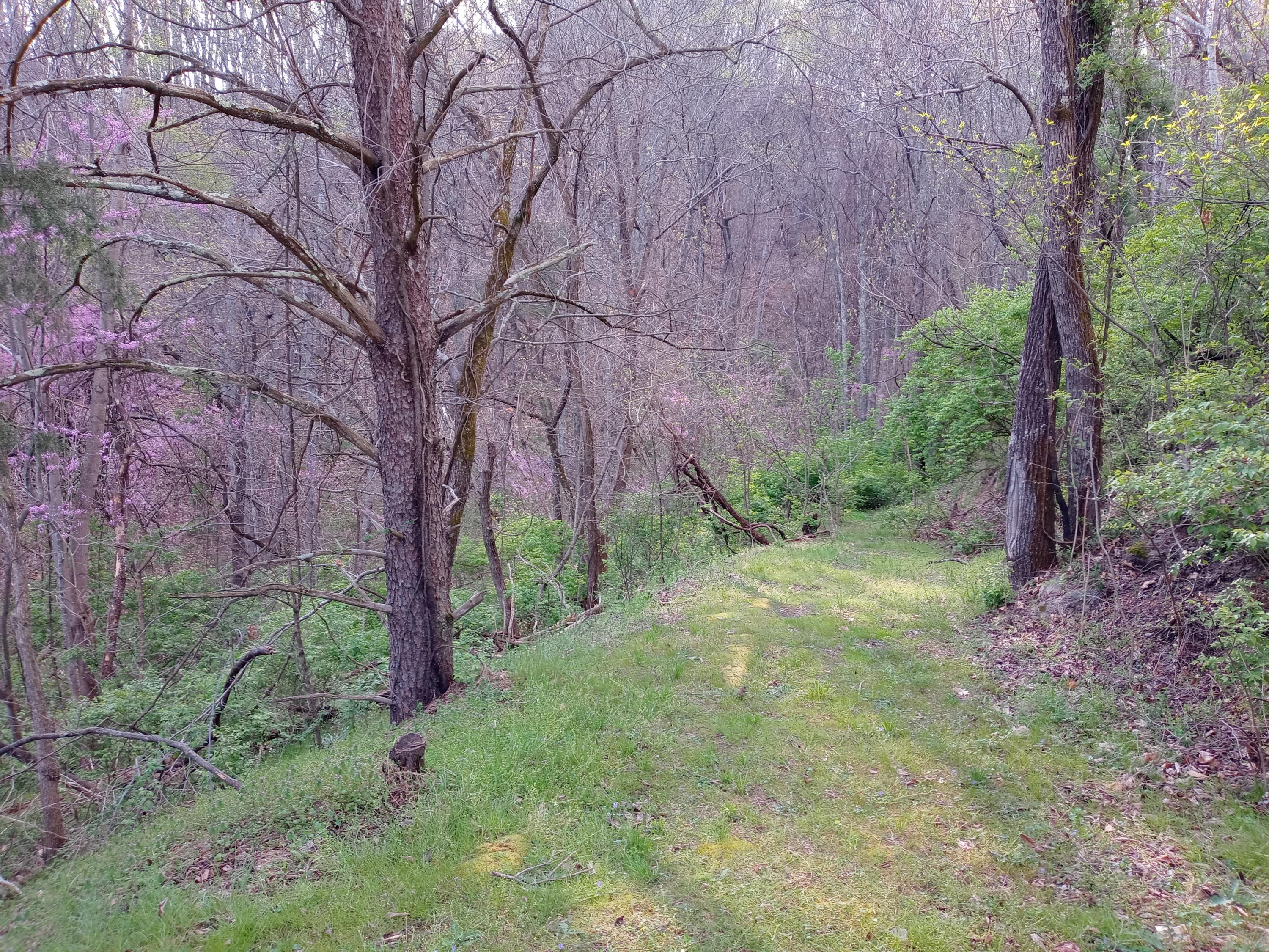 Lot 6-7 Big Ridge Road, Unit 7 Johnson City, TN 37601 - Photo 5 of 20 20210408_180345