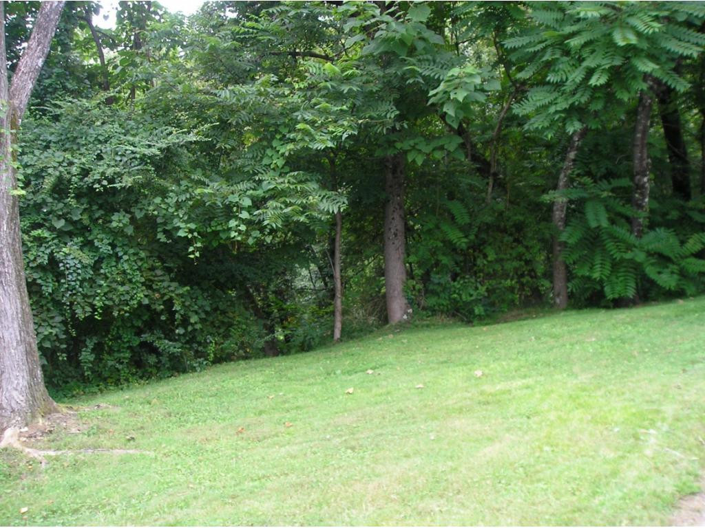 Lot 6-7 Big Ridge Road, Unit 7 Johnson City, TN 37601 - Photo 7 of 20 Photo 3
