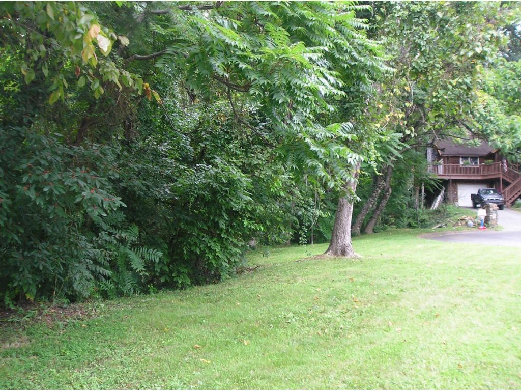 Lot 6-7 Big Ridge Road, Unit 7 Johnson City, TN 37601 - Photo 9 of 20 Photo 2