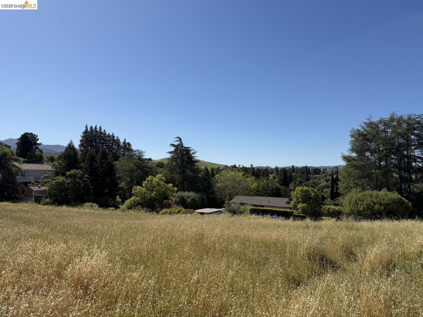 0 Cowell Road Concord, CA 94518 - Photo 12 of 12 Expansive field of golden grasses and diverse mature trees