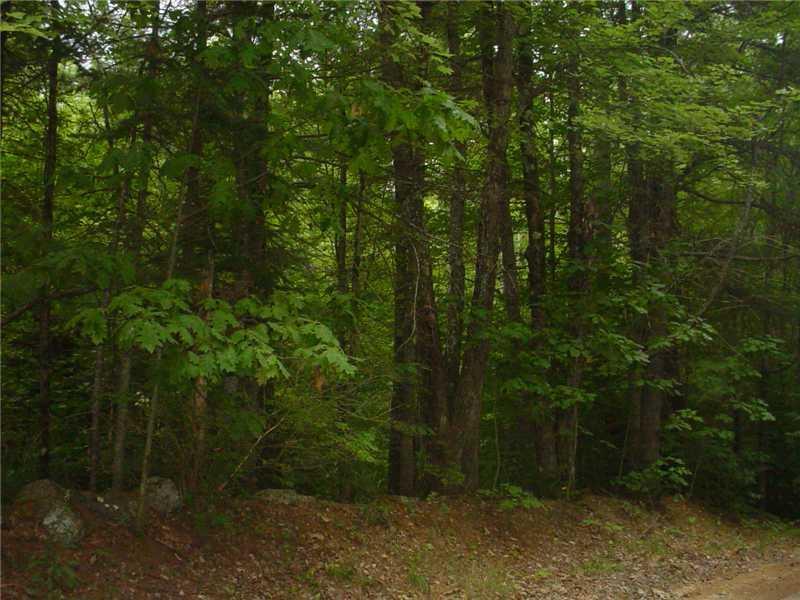 0 Tucker Road Wayne, ME 04284 - Photo 4 of 4 Land.