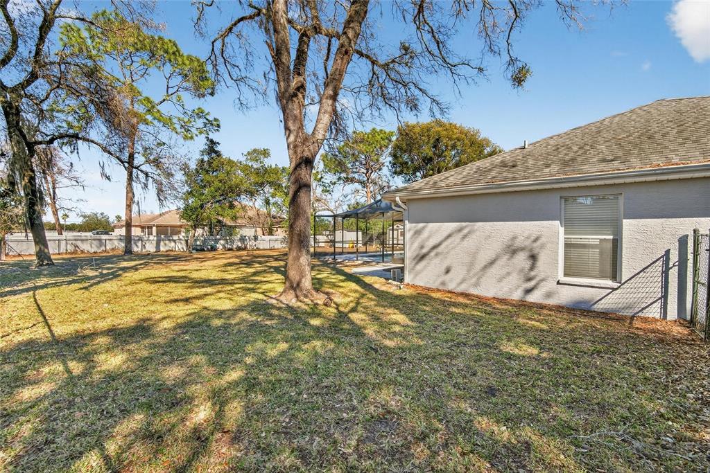 15047 Woodbury Road Brooksville, FL 34604 - Photo 75 of 98 a view of a yard with a tree