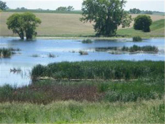 11282 Cty Highway, Unit 24 Rothsay, MN 56579 - Photo 9 of 11