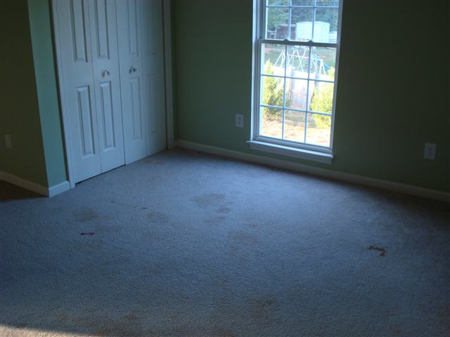 136 Griggs Road Six Mile, SC 29682 - Photo 10 of 14