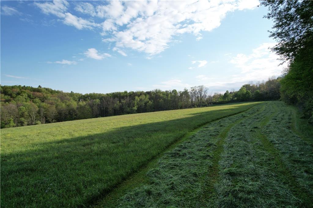 0 Grove Road Stoystown, PA 15563 - Photo 7 of 34