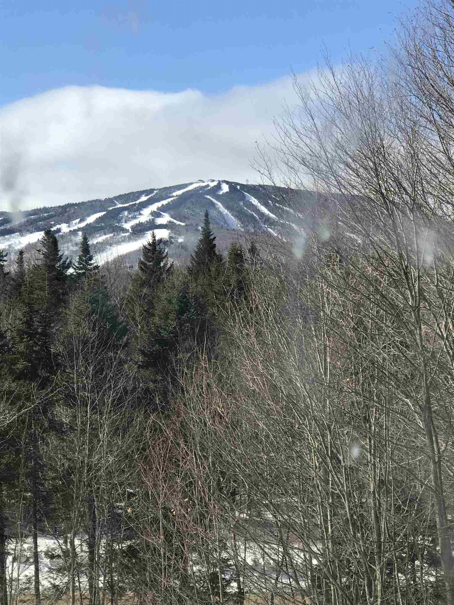 7 Duncan Road West Dover, VT 05356 - Photo 9 of 40