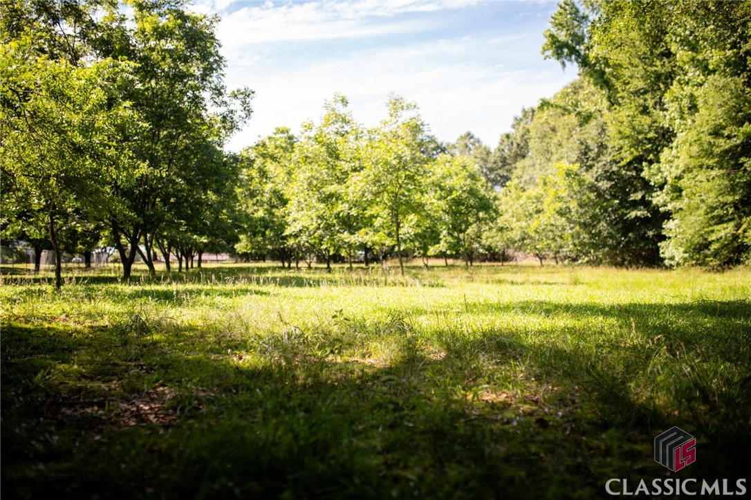 0 Hardeman Mill Road Madison, GA 30650 - Photo 9 of 16