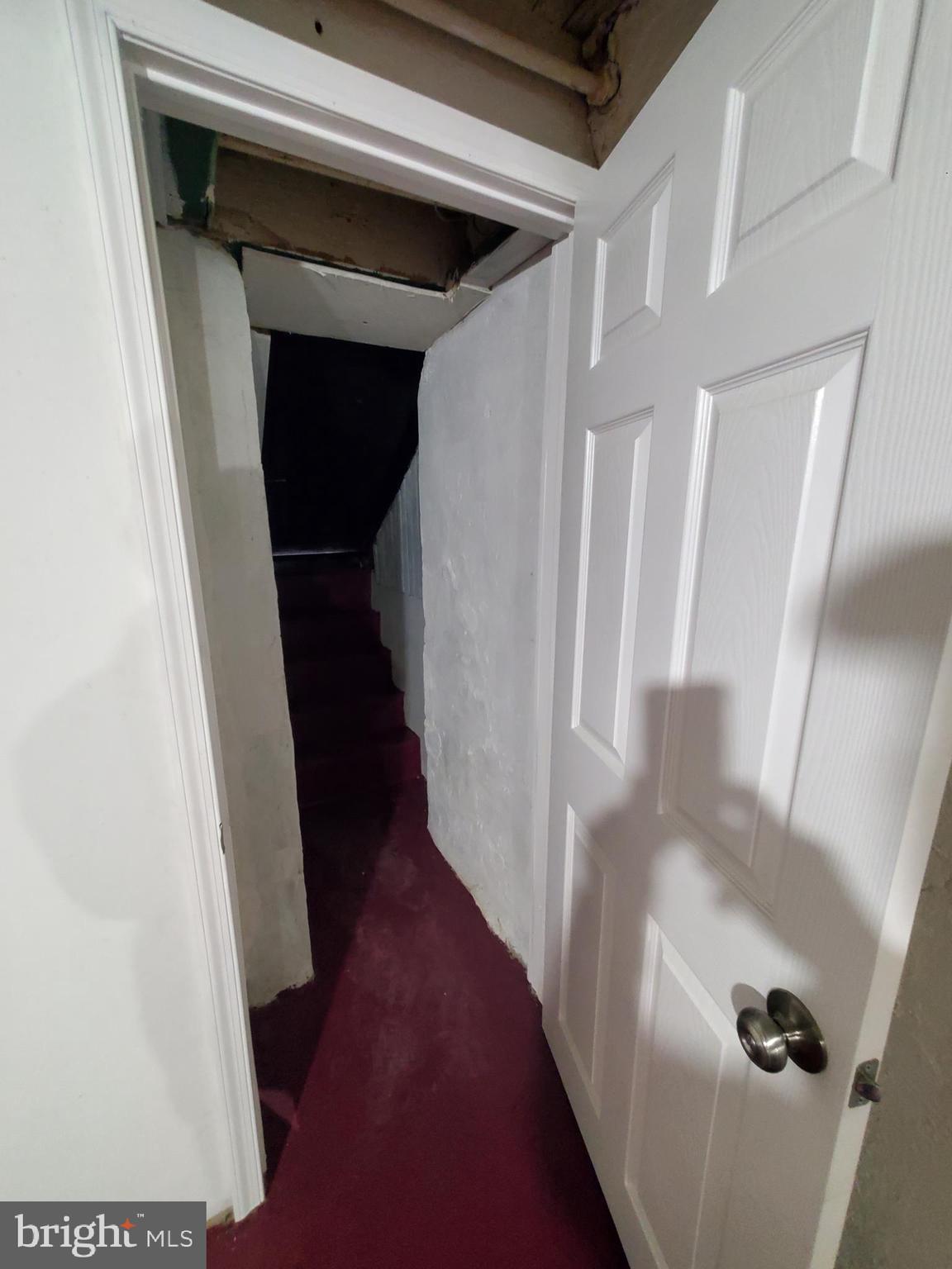 245 Widener Street Philadelphia, PA 19120 - Photo 39 of 44 Door to rear yard