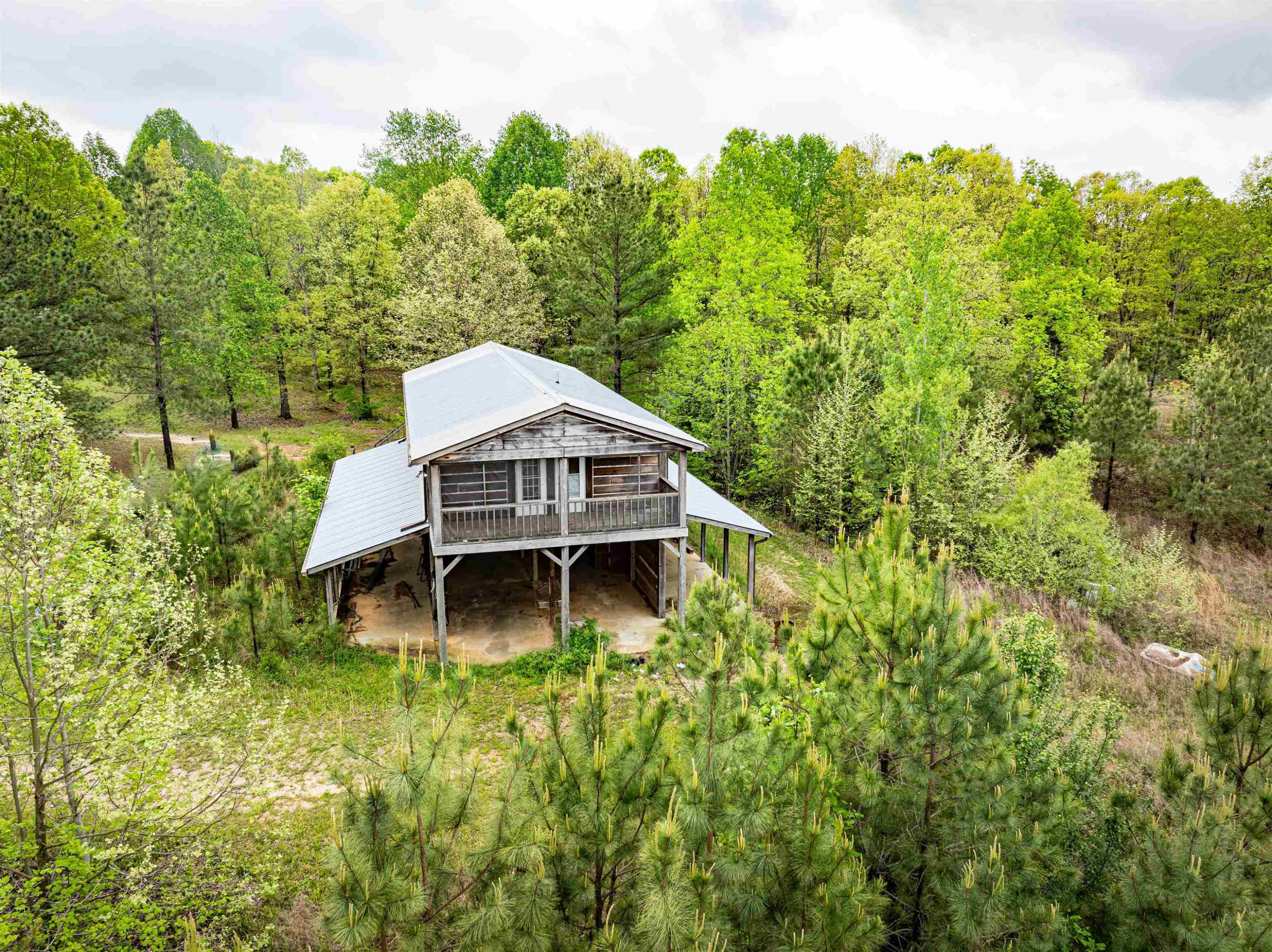 800 Bob's Landing Road Bath Springs, TN 38311 - Photo 16 of 48 a backyard of a house with large trees and plants