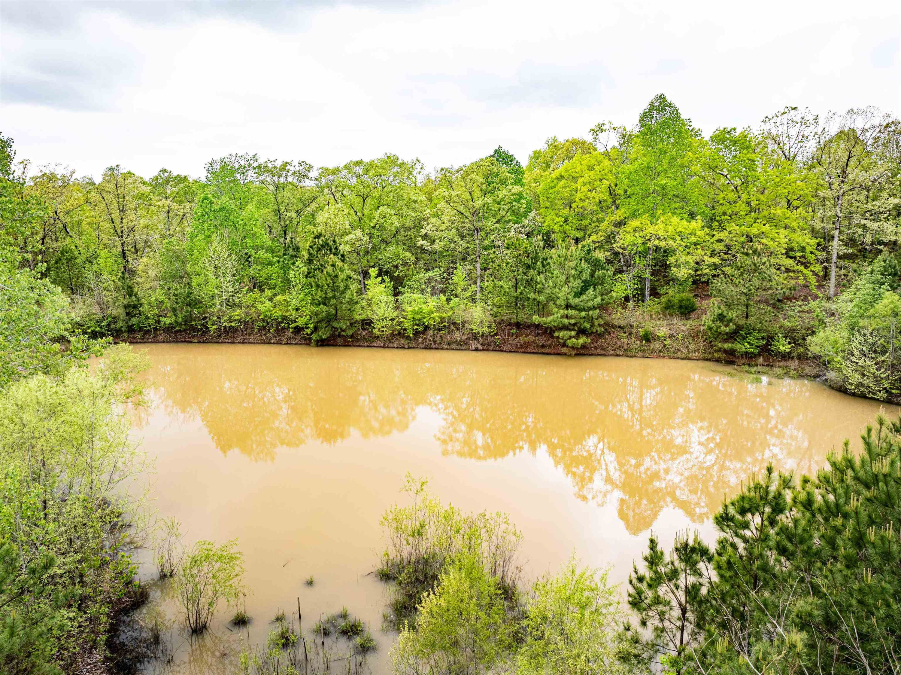 800 Bob's Landing Road Bath Springs, TN 38311 - Photo 17 of 48 a view of a lake view