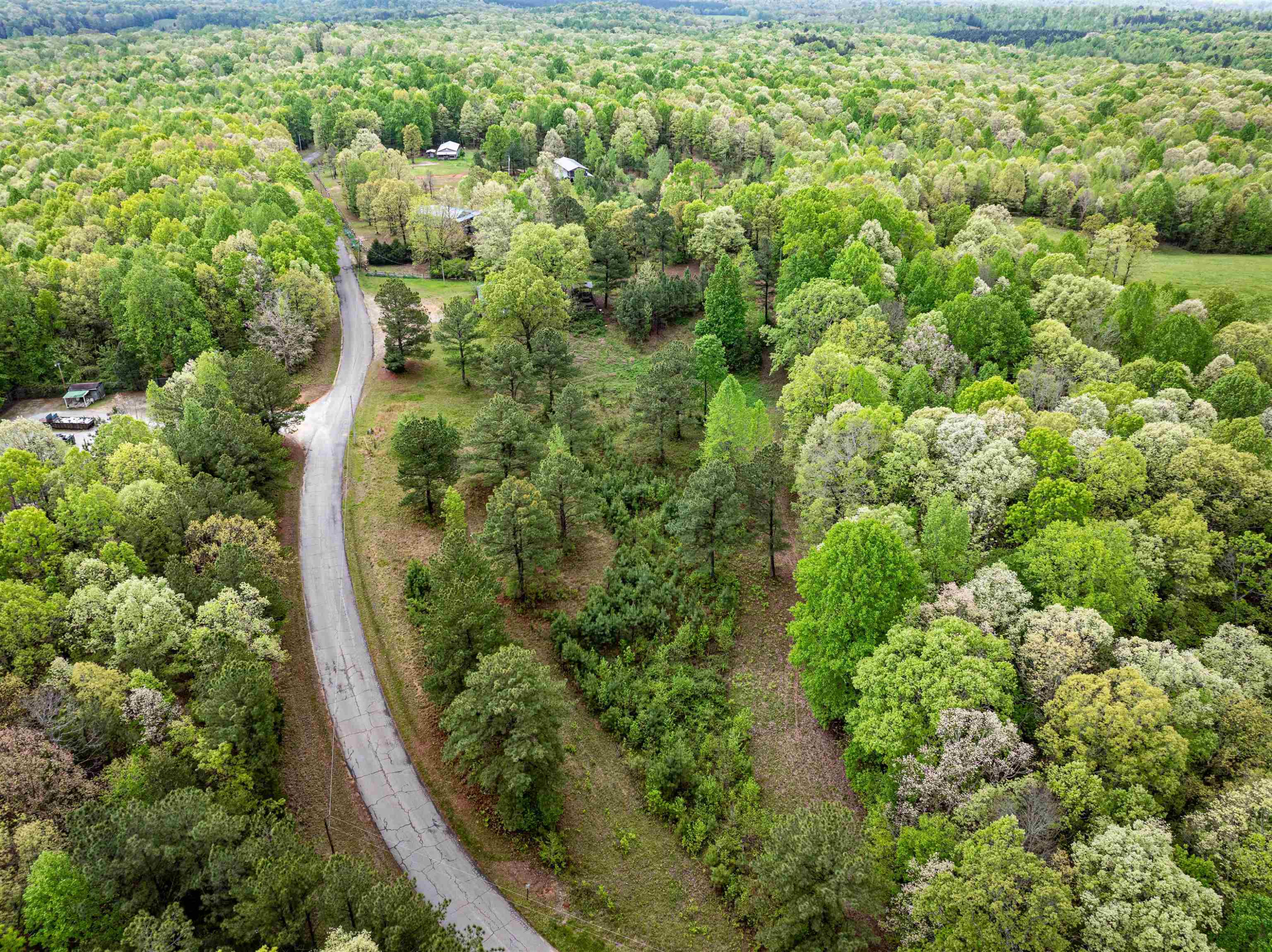 800 Bob's Landing Road Bath Springs, TN 38311 - Photo 3 of 48 a view of a garden