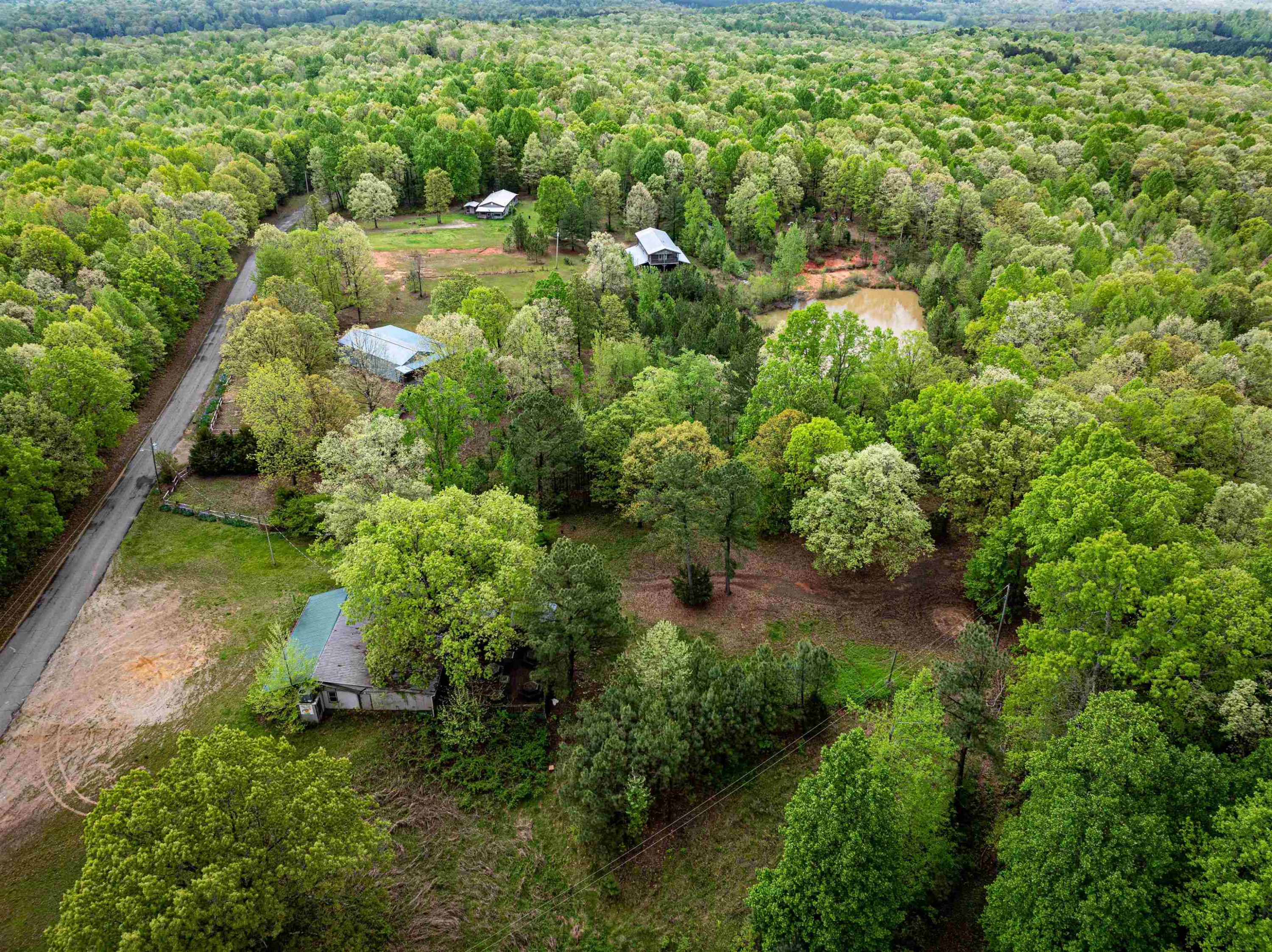 800 Bob's Landing Road Bath Springs, TN 38311 - Photo 4 of 48 a view of a garden with plants